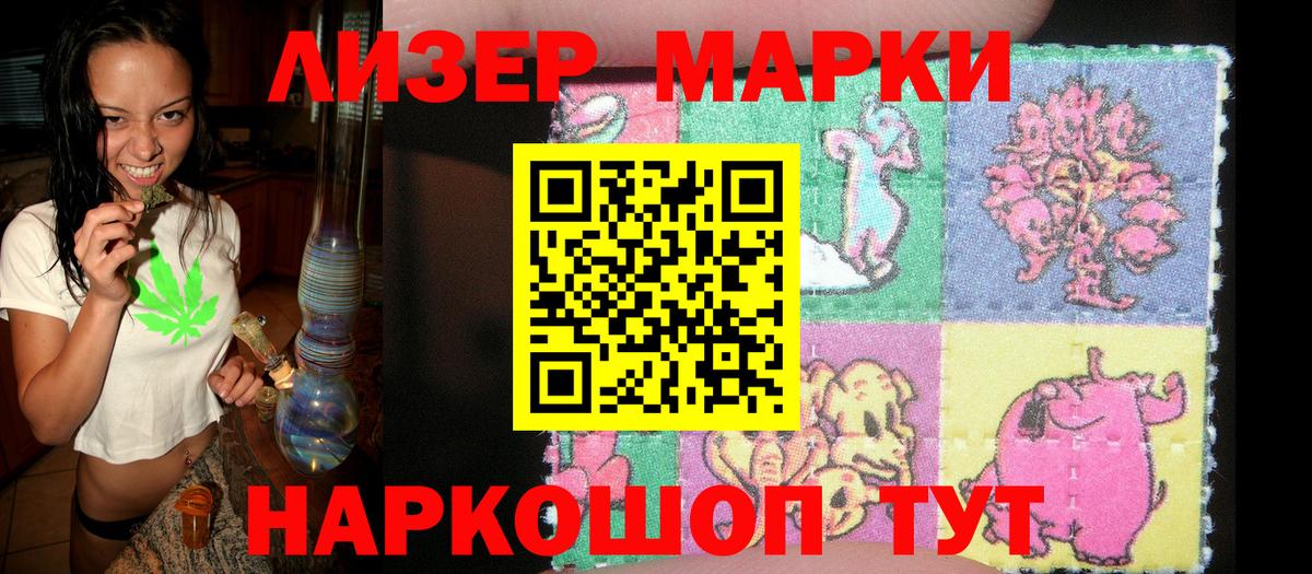 Пугачёв  Марки N-bome 1,5мг  Вход с VPN 