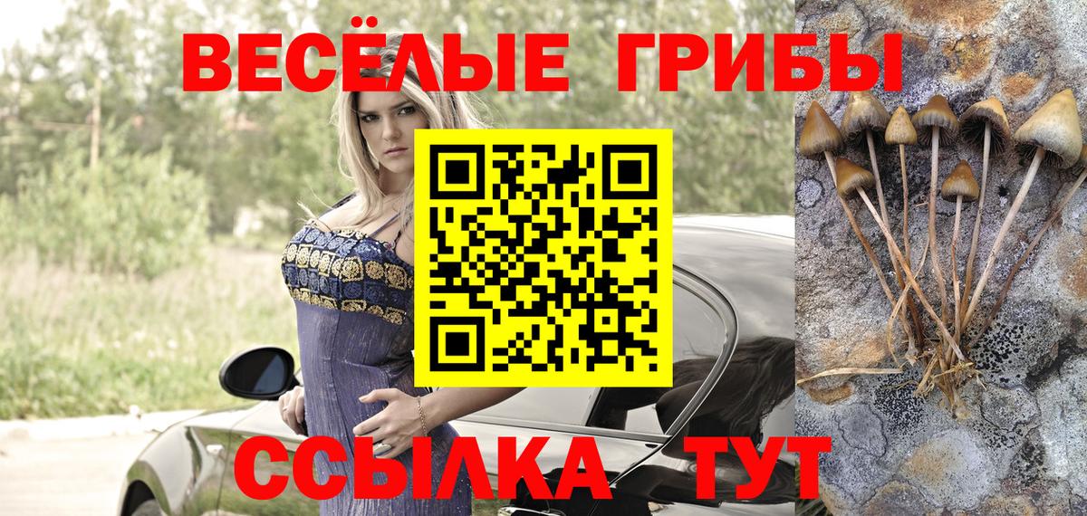 Галлюциногенные грибы MAGIC MUSHROOMS  Вход с VPN  Пугачёв 
